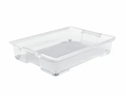 Rotho Aufbewahrungsbox Unterbettbox Evo Easy
