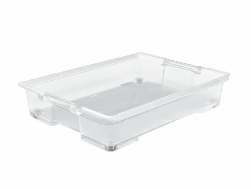 Rotho Aufbewahrungsbox Unterbettbox Evo Easy