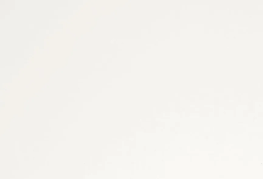 Sale Baldachinaufbau Tiago Kinder Jugendbetten|Jugendbetten