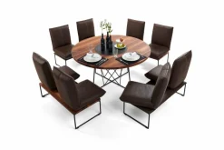 Bullfrog Bank 2117 Tablo