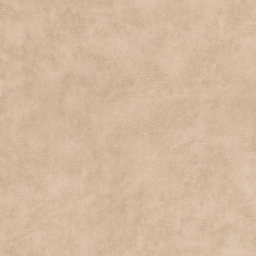 Exxpo by Gala Bank Donatto