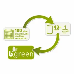 Berndes Pfannen|Bratpfanne Be Green Ø 24 cm