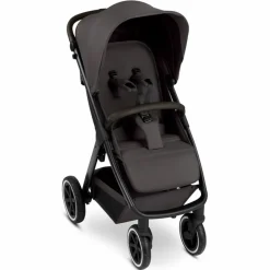 Kinder ABC Design Buggy Avus Air 2
