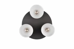 Deckenleuchte Agudo Deckenleuchten