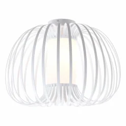 Online Deckenleuchte Ferdinand Deckenleuchten