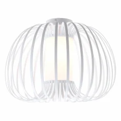 Online Deckenleuchte Ferdinand Deckenleuchten