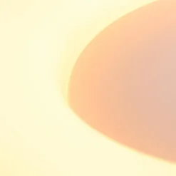 Online Deckenleuchte Ringlede Deckenleuchten