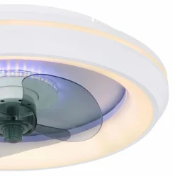 Globo Deckenventilator Joey