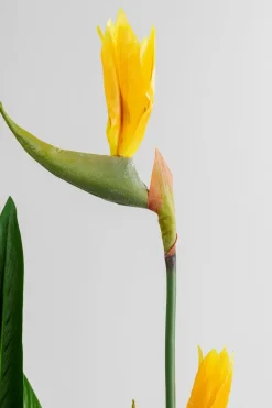 Discount Deko Pflanze 51684 Paradise Flowers Grünpflanzen|Dekofiguren Tiere & Pflanzen