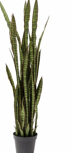 Outlet Deko Pflanze 60718 Sansewieria Grünpflanzen|Dekofiguren Tiere & Pflanzen
