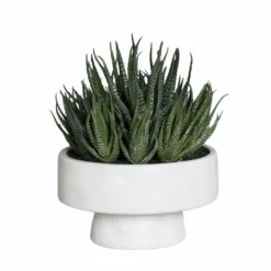 Grünpflanzen|Deko-Objekt Sukkulenten-Arrangement