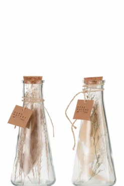 Hot Deko-Objekt Trockenblumen 19 cm Dekofiguren Tiere & Pflanzen