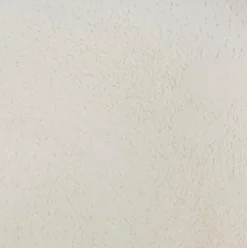 Dessertteller Saisons Ø 21 cm Geschirr