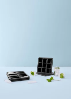 Rig-Tig Eiswürfelform Freeze-it 19 x 19 cm