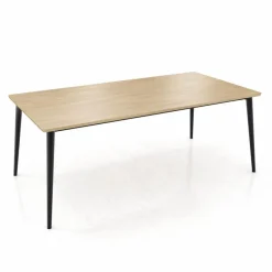 Mobitec Esstisch Core 200 x 100 cm