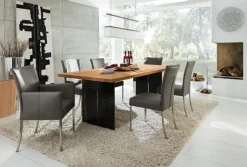 Musterring Esstisch Nova 220 x 100 cm