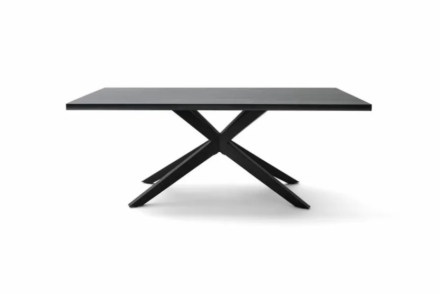 Hot Esstisch Tiama 220 x 100 cm Esstische