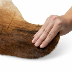 Felle & Fellteppiche|Fellteppich 150 x 230 cm