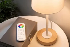 Paulmann Zubehör|Fernbedienung Gent II