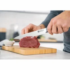 Zwilling Fleischmesser Now S