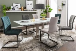 Stühle|Freischwinger Parker