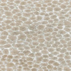 CreaTable Geschirr|Frühstücksteller Malmö Ø 21 cm