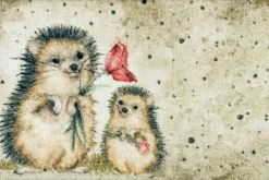 Wash & Dry Fußmatten|Fußmatte Spike 40 x 60 cm