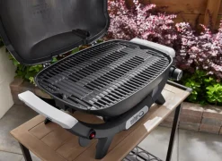 Weber Gasgrill -Q