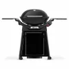 Weber Gasgrill -Q