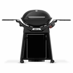 Weber Gasgrill -Q