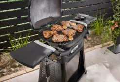 Weber Gasgrill -Q