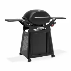 Weber Gasgrill -Q
