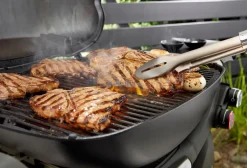 Weber Gasgrill -Q