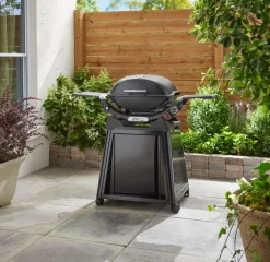Weber Weber Grills & Grillzubehör|Gasgrills|Gasgrill -Q