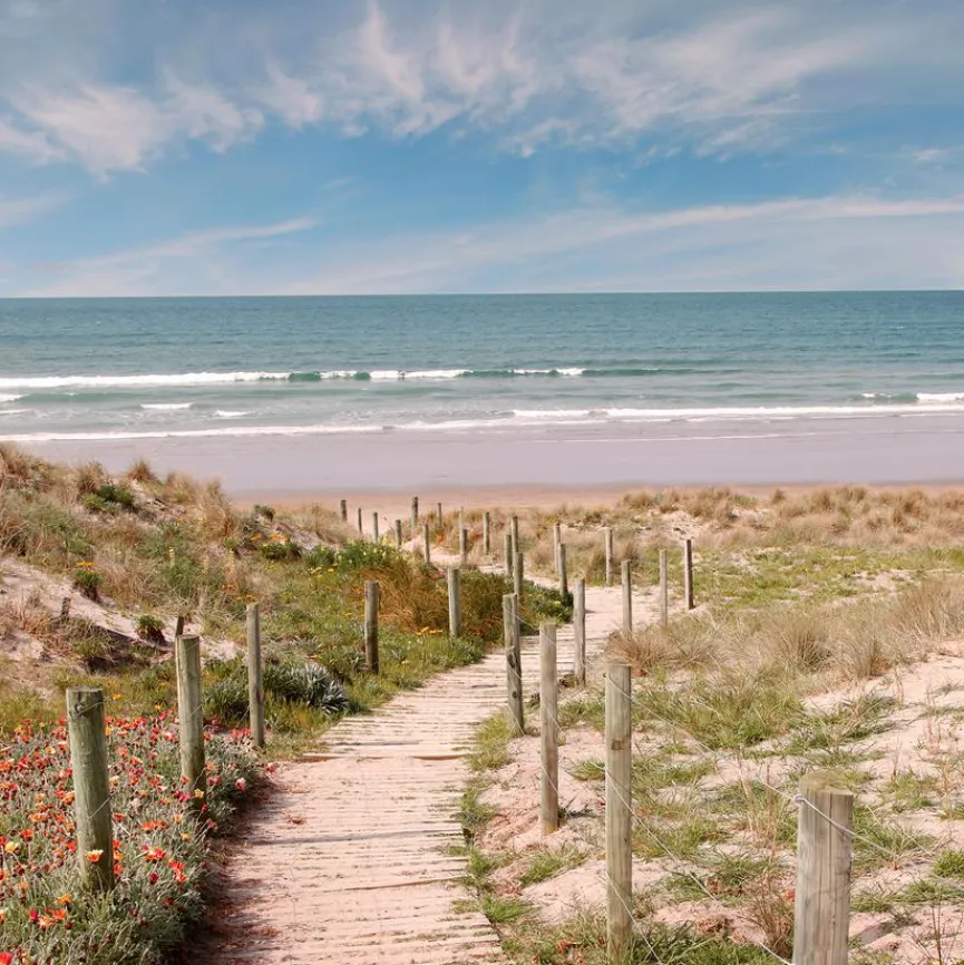 EUROART Glasbild 50 x 50 cm Beach walk V