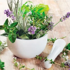 EUROART Glasbild 20 x 20 cm Fresh herbs II