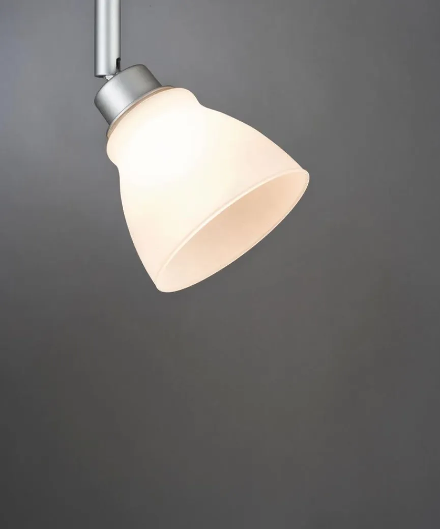 Paulmann Schienensysteme|Glasschirm Deco Systems Wolbi