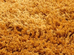 Musterring Hochflorteppiche Shaggy|Hochflorteppich Diego 170 x 240 cm