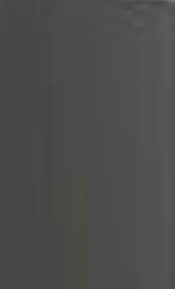 Online Hochschrank Asiago10 Geräteschränke