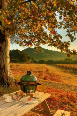 Big Green Egg Holzkohlegrills|Holzkohlegrill Set. Minimax