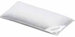 Spessarttraum 3-Kammer-Kopfkissen 40 x 80 cm