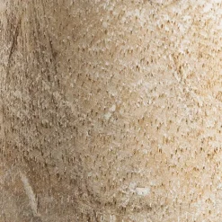 Outlet Kerzenleuchter 20 cm Kerzen & Kerzenhalter|Kerzenständer & Kerzenhalter