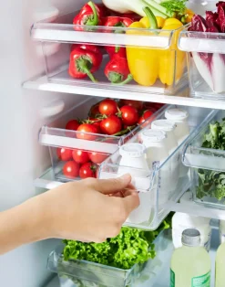 Rotho Kühlschrank-Organizer Loft 1600 ml