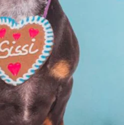 MAGMA Kissen Sissi + Fanz 45 x 45 cm