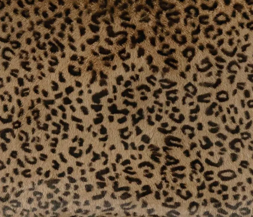 Best Kissenbezug Leonesse 40 x 60 cm Dekokissen & -Bezüge|Sitzkissen & Dekokissen