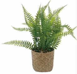 Grünpflanzen|Kunstpflanze 35 cm