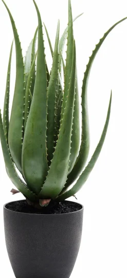 KARE DESIGN Kunstpflanze Aloe 60724