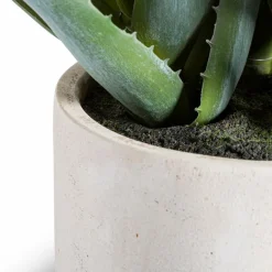 Hot Kunstpflanze Aloe 53 cm Grünpflanzen
