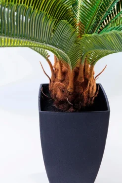 KARE DESIGN Kunstpflanze Cycas Tree 61200