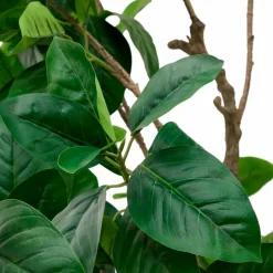 Kave Home Kunstpflanze Fikus